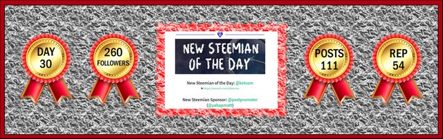 steemit-ketcom-footer-banner-4-10-2018.jpg