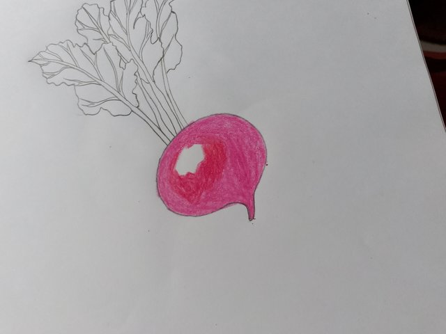 1000057765.jpg