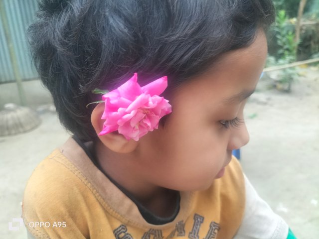 IMG20250321090049.jpg