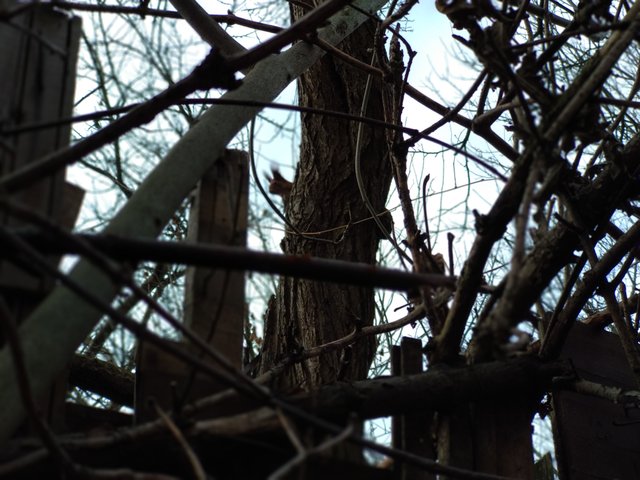 IMG_20191201_125532.jpg