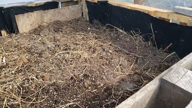 VideoCapture_20190519-144522.jpg