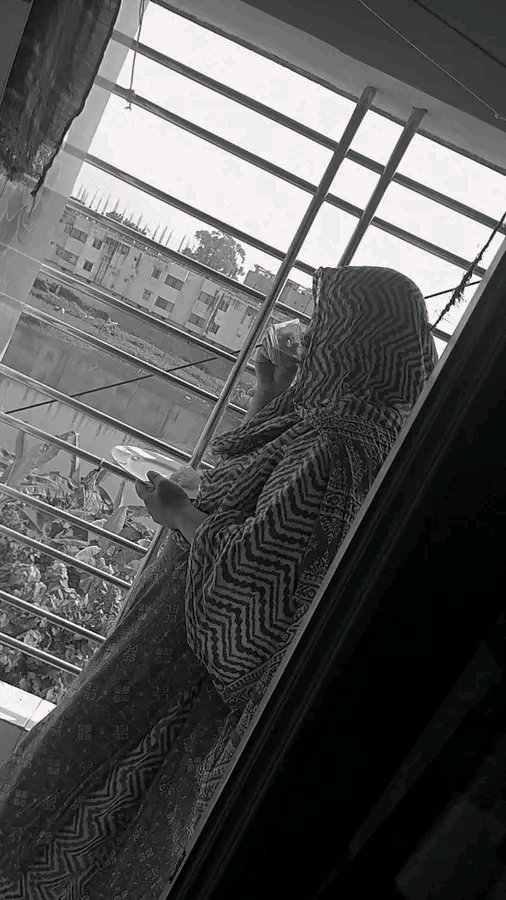 81568.jpg