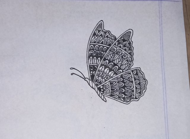 20250802_204128.jpg