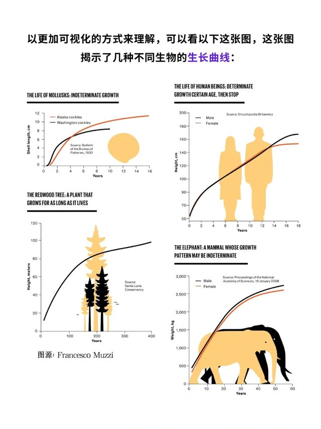 科普一分钟_你知道这些动物会“无限长大”吗❓_6.jpg