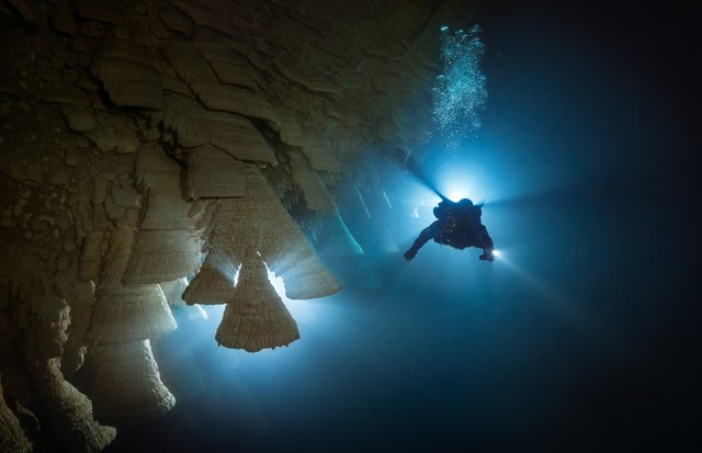 cenote hell bells.jpg