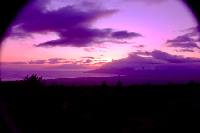 IMG-7278.jpg