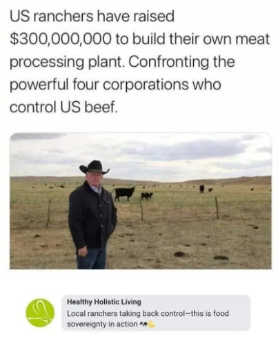 v153.png
