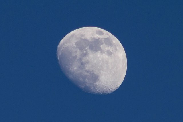 Blake_foto-8799.jpg