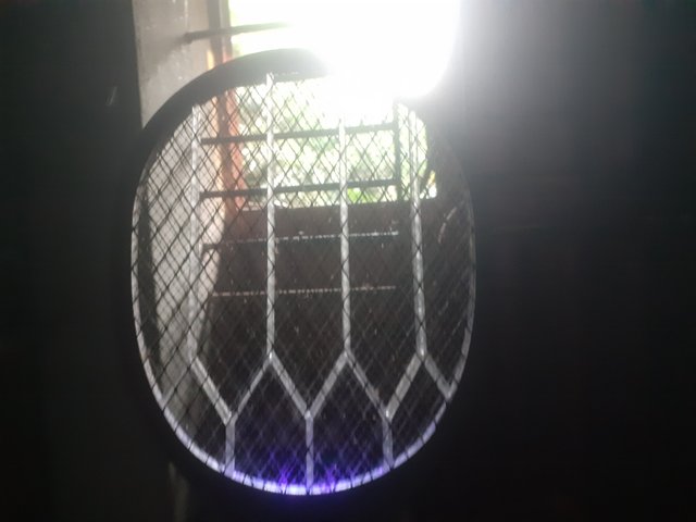 20250305_172324.jpg