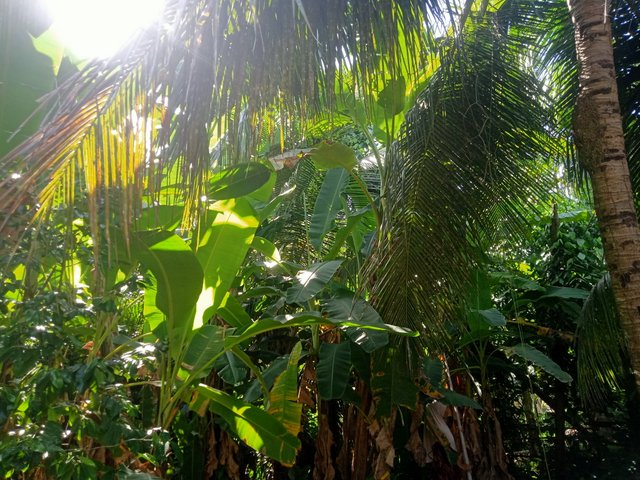 IMG20250906092245.jpg