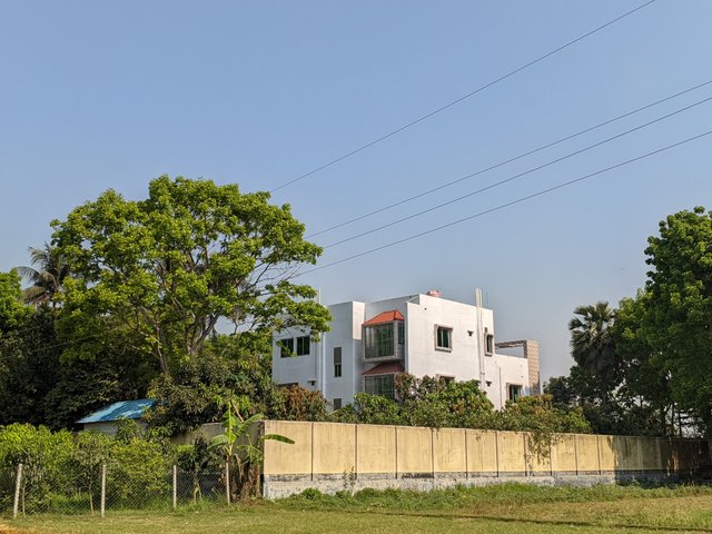 1000019555.jpg