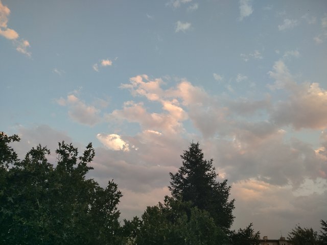 IMG_20250822_195619_HDR.jpg
