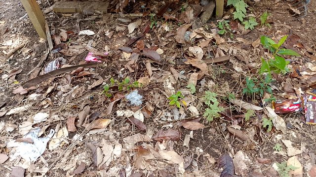 IMG_20250808_111525.jpg