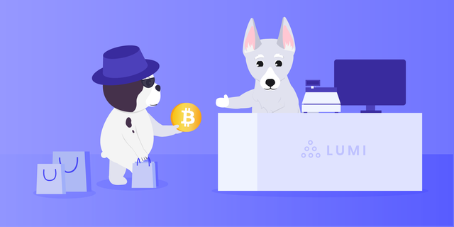 anonymity in crypto by lumi wallet.png