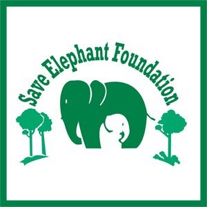 save elephants foundation.jpg