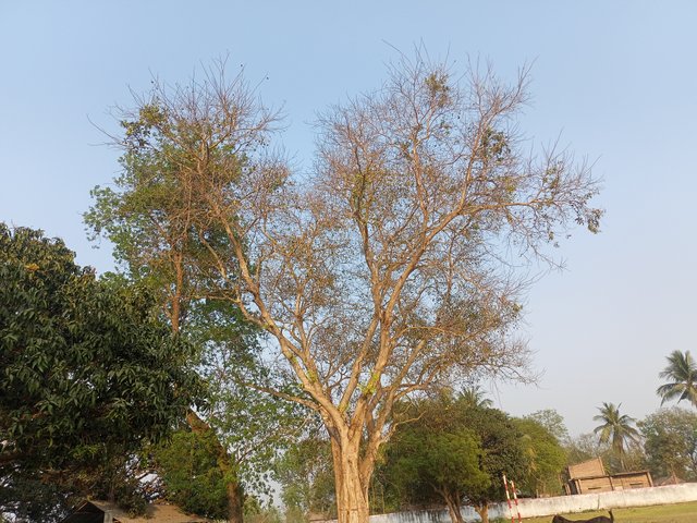 IMG20250315165459.jpg