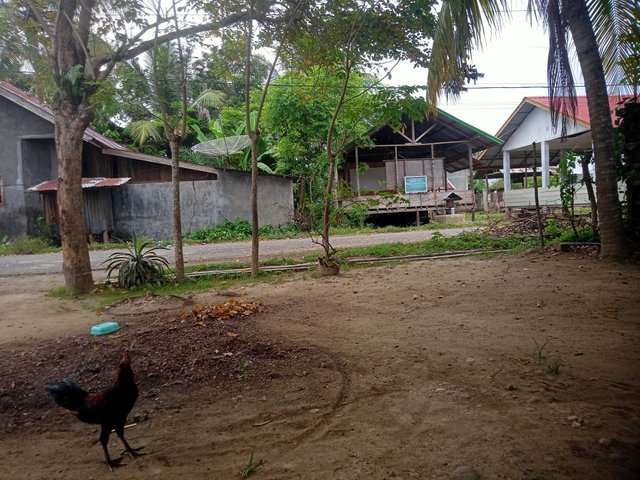 IMG20250811095601.jpg