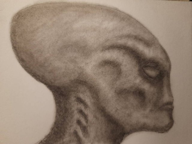 20251001_105135.jpg