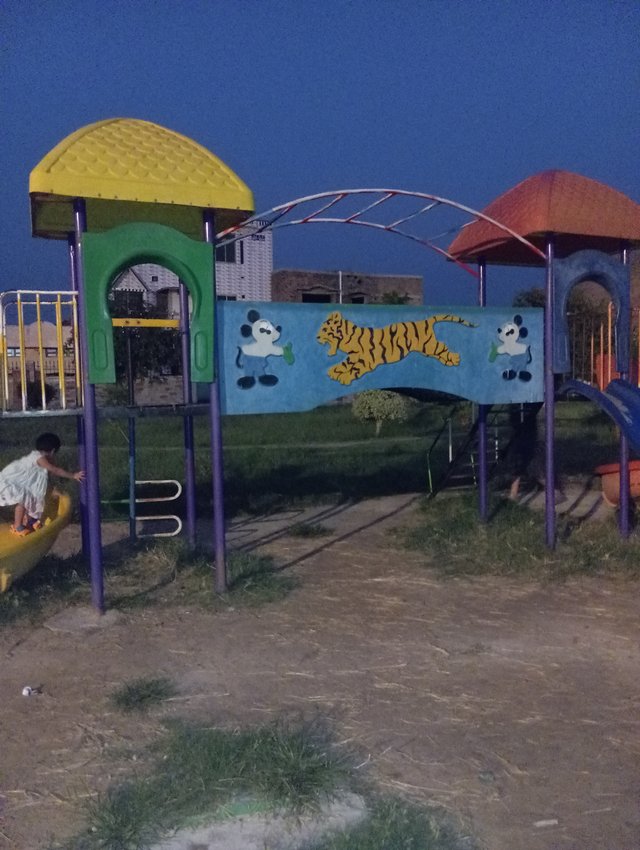 1000577537.jpg