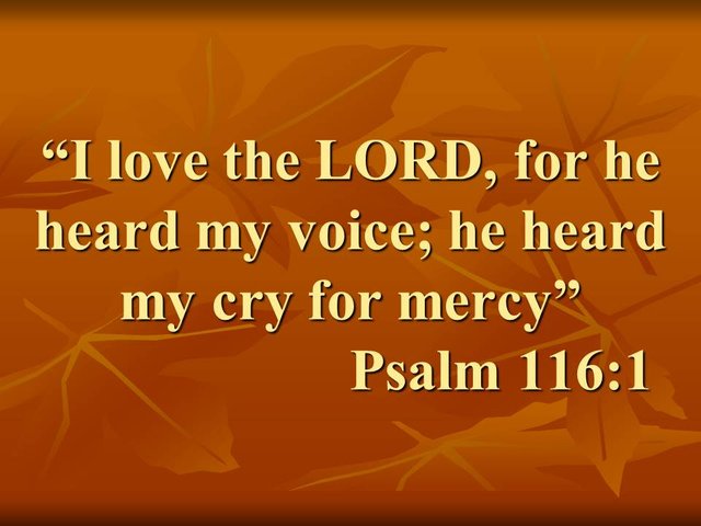 Thanksgiving prayer. I love the LORD, for he heard my voice; he heard my cry for mercy. Psalm 116,1.jpg