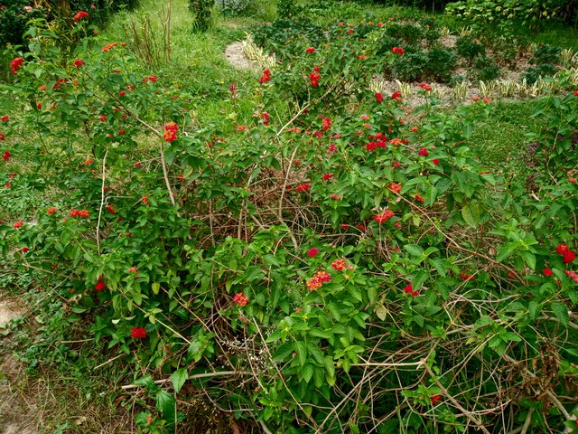 20230503_062313.jpg