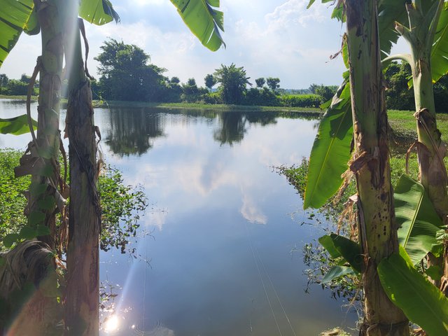 20250925_151544.jpg