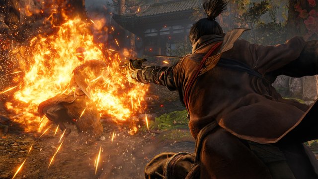 Sekiro_31.jpg