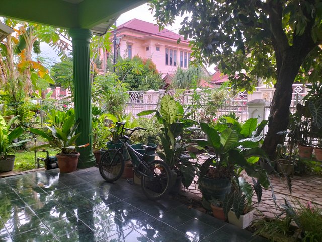 IMG20250424075115.jpg