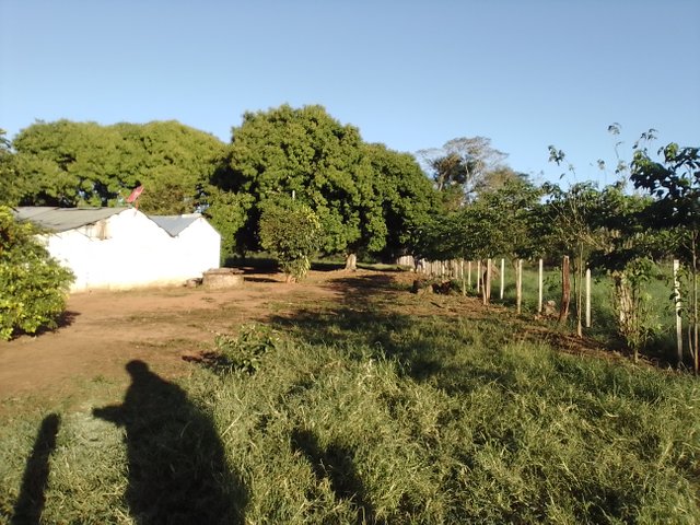 IMG_20250529_083107.jpg