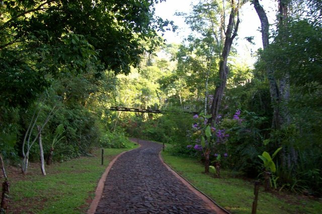 205252_10151012946401197_264883881_n (2).jpg