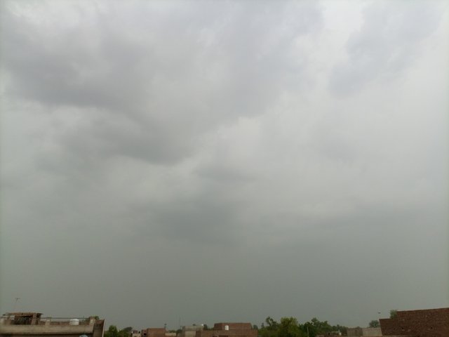 IMG_20250603_145650_693.jpg