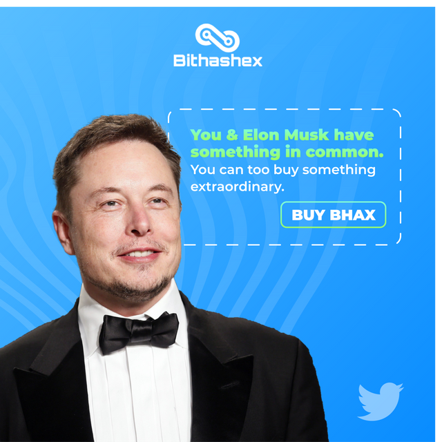 Bithashex - Elon musk bought twitter.png