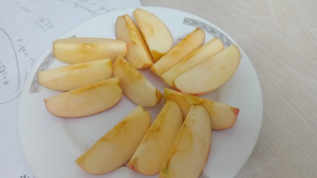 20250817_163328.jpg