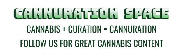 cannspacesmallpromo.jpg