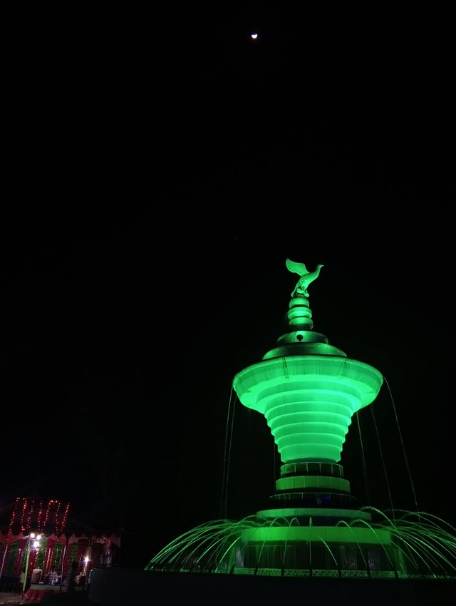 1000028742.jpg