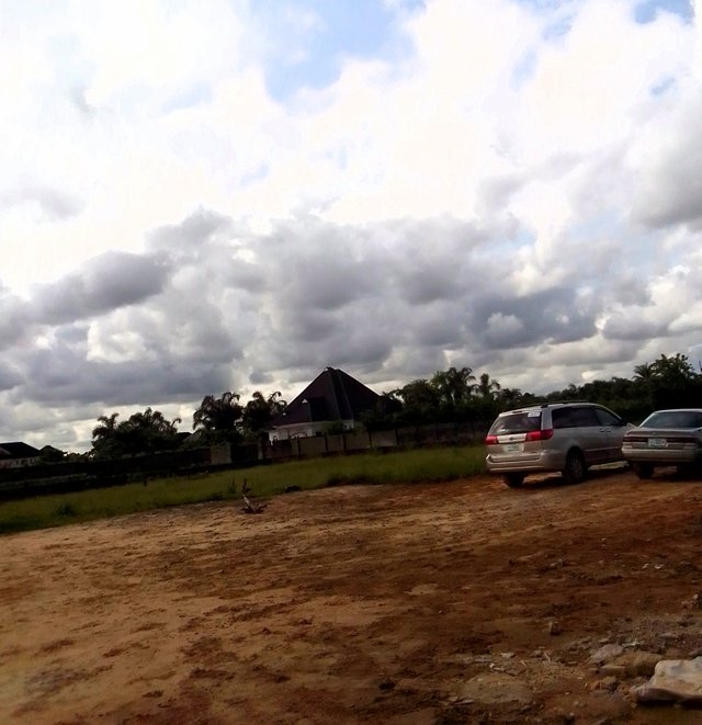 IMG_20250419_093237_143.jpg
