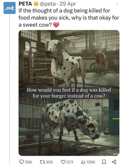 Gs8r4iBWcAAe_rj.jpg