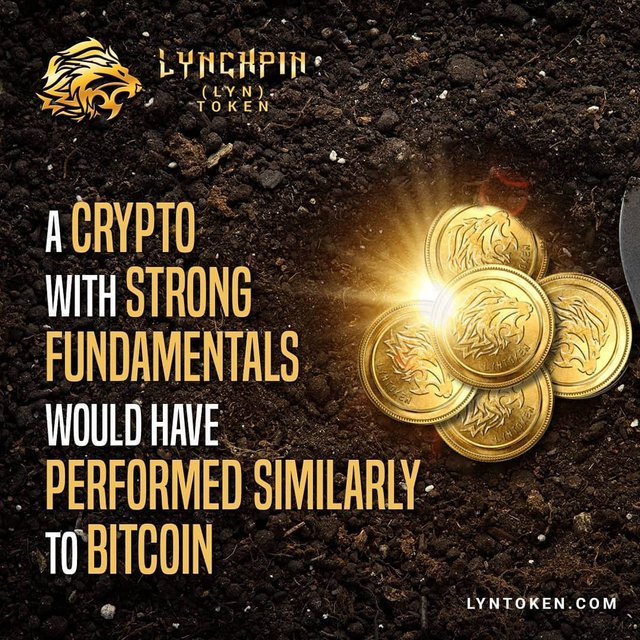 lynchpintoken_official_93486362_256987415436930_1074696563367180622_n.jpg