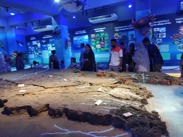 IMG_20250610_172647.jpg
