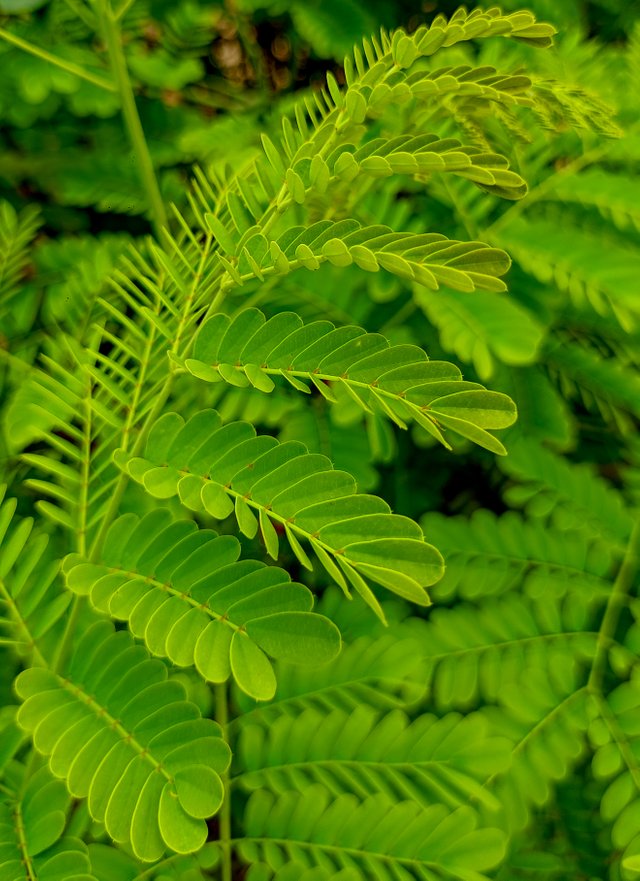 IMG20250404121924.jpg