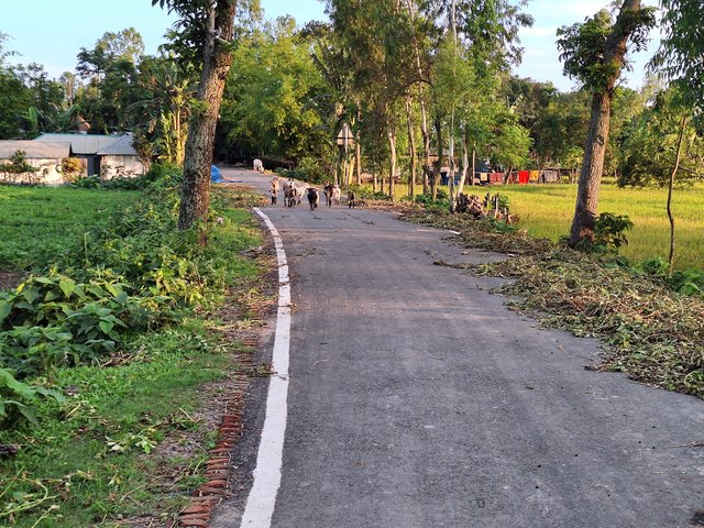 1000264835.jpg