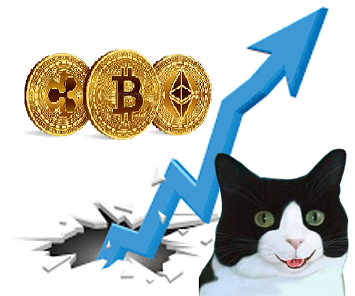 cryptocurrencies stack.png