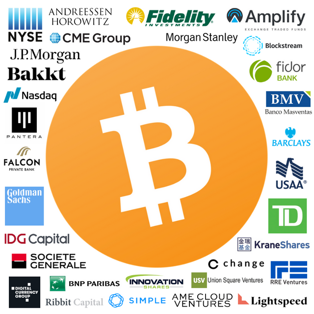Bitcoin Institutional Backing & Partnerships.png