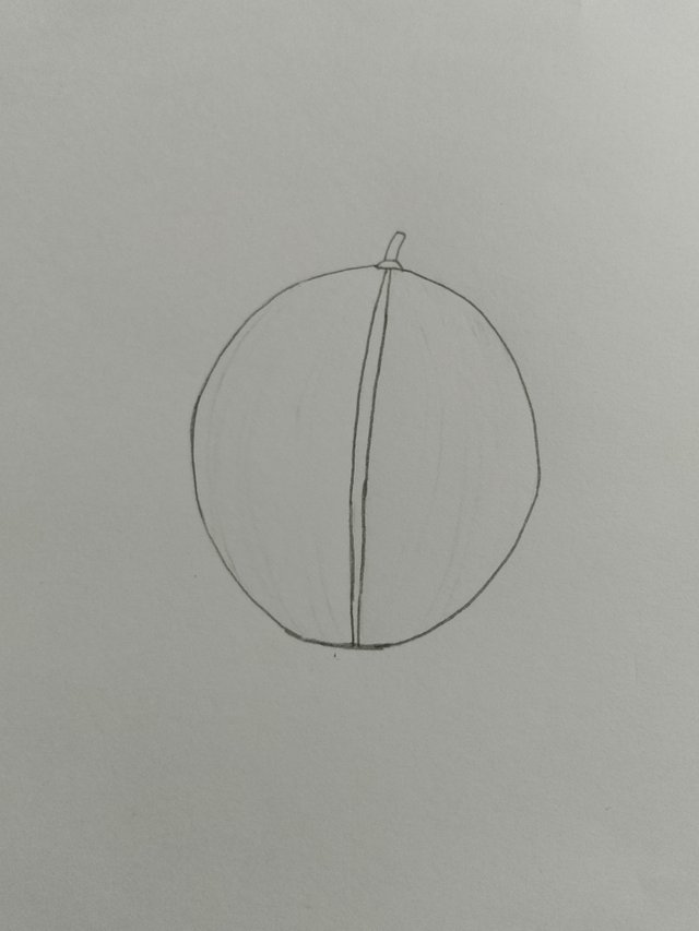 1000044896.jpg