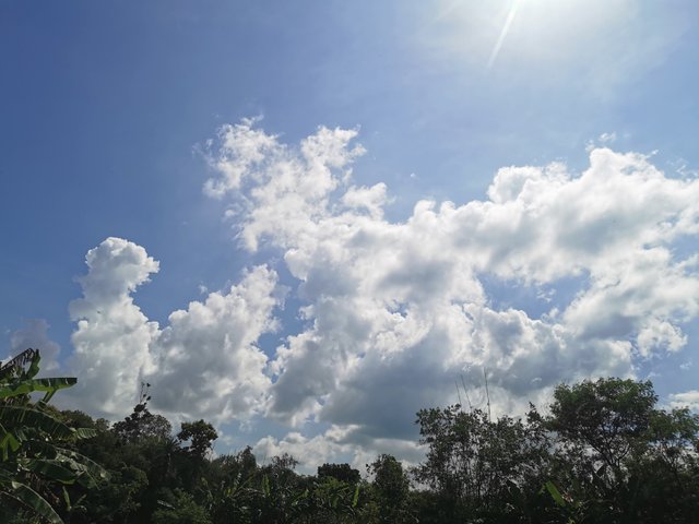 IMG_20250825_141950.jpg