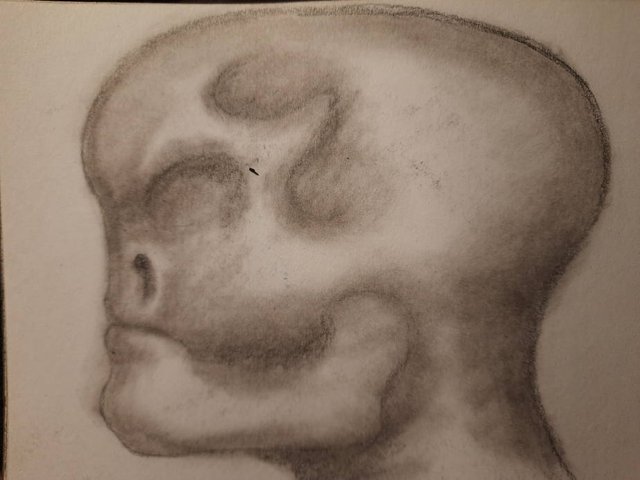 20251002_104738.jpg