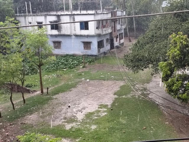1000029397.jpg