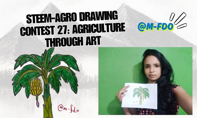 Steem-Agro Drawing Contest 27 Agriculture Through Art.jpg