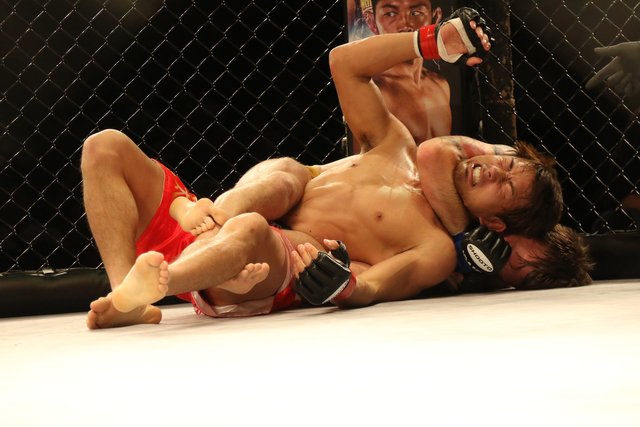 mma-2495816_1920.jpg