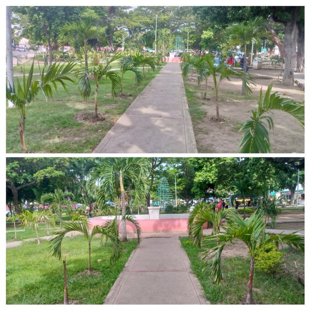 IMG_20250606_003621-COLLAGE.jpg